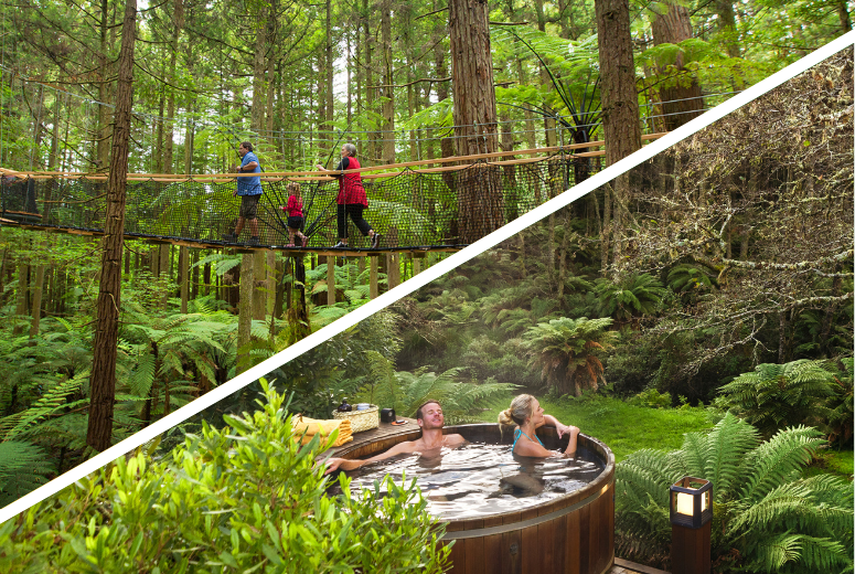 Rotorua Highlights including Redwoods Treewalk & Secret Spot Hot Tubs Small Group Tour from Auckland - Photo 1 of 11